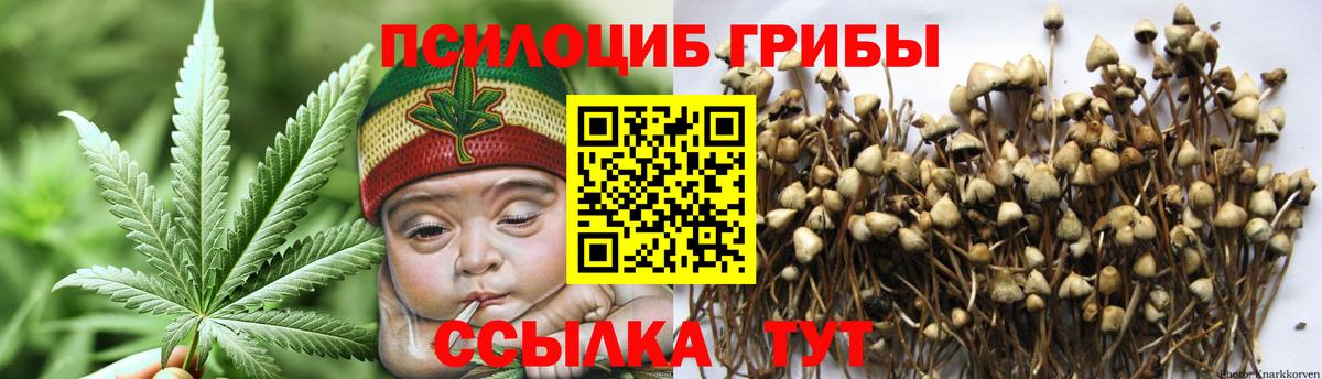 Псилоцибиновые грибы Magic Shrooms Кострома